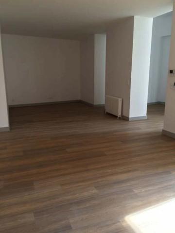 Appartement à louer à Lyon (69002)