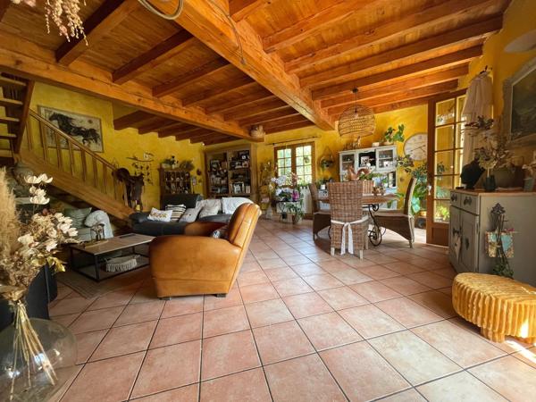 65250 PROCHE DE LANNEMEZAN, MAISON DE CARACTERE DANS UN PARC DE 3883 M2