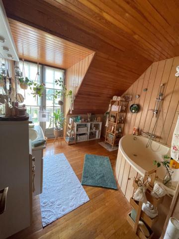 65250 PROCHE DE LANNEMEZAN, MAISON DE CARACTERE DANS UN PARC DE 3883 M2