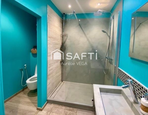 Maison de maître avec piscine et dépendance