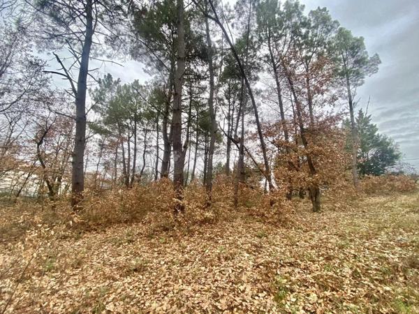 Vente Terrain 1203 m2 à Montans