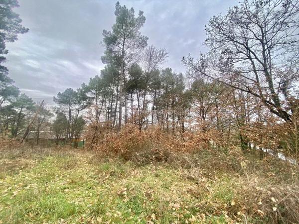 Vente Terrain 1203 m2 à Montans