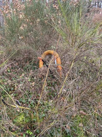 Vente Terrain 1203 m2 à Montans