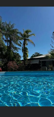 Superbe maison T5 avec piscine et jardin arboré de 1258 m2 Un véritable havre de paix