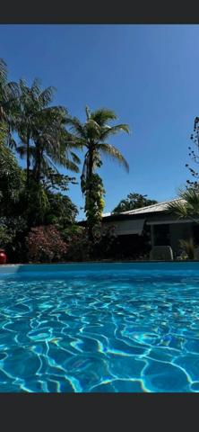 Superbe maison T5 avec piscine et jardin arboré de 1258 m2 Un véritable havre de paix