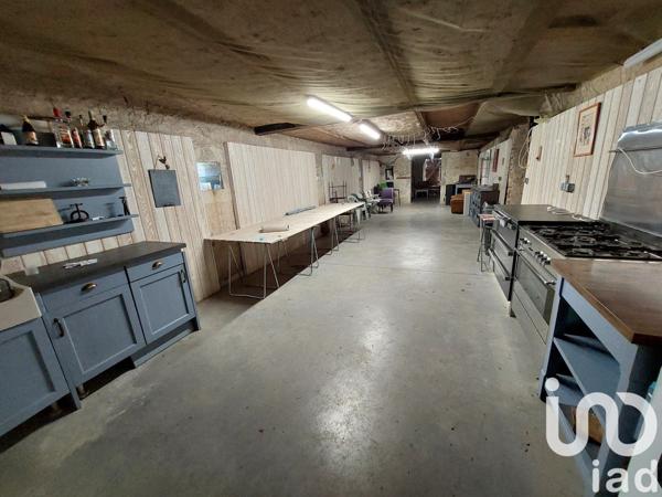 Domaine 15 pièces de 269 m² à Luynes (37230)