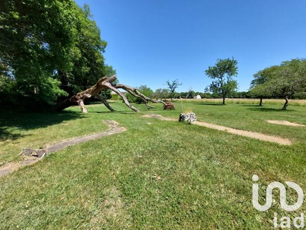 Domaine 15 pièces de 269 m² à Luynes (37230)