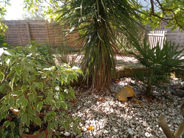 Maison à vendre à Libourne - Opportunité à ne pas manquer !