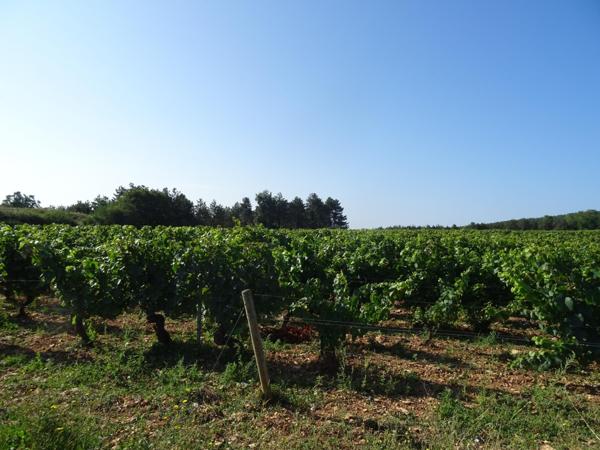 A Chagny terrain a batir hors lotissement