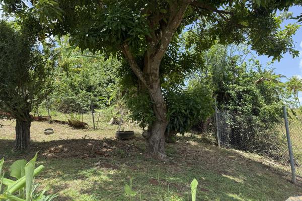 Maison à vendre 5 pièces LE FRANCOIS (972)