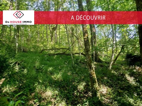 Terrain à vendre de 8 028 m²