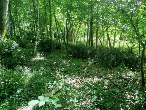 Terrain à vendre de 8 028 m²