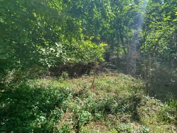 Terrain à vendre de 8 028 m²