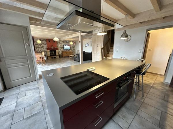 Maison à vendre à Cézens dans le Cantal (15230), ref : 15046-63