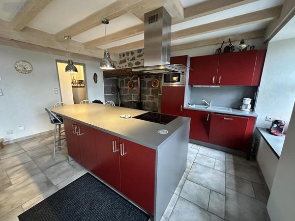 Maison à vendre à Cézens dans le Cantal (15230), ref : 15046-63