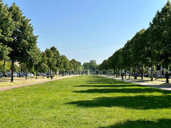 Un havre de paix dans le PARC à 15 mn à pied de la gare : Maison de famille 259 m²