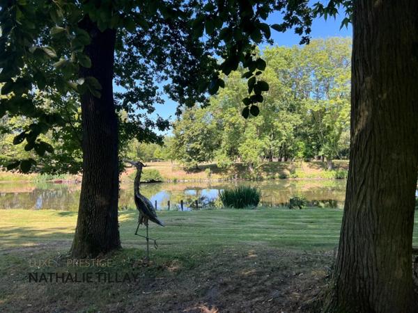 Propriété, à vendre OLIVET proche Orléans , EXCEPTIONNELLE, 1h du péage Paris St Arnoult, piscine , parc et Bord du Loiret