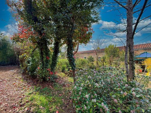 Maison en pierres plain-pied 130 m²