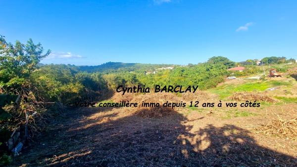 Terrain constructible à LE MARIN (97290)