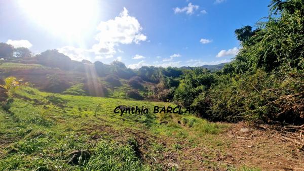 Terrain constructible à LE MARIN (97290)