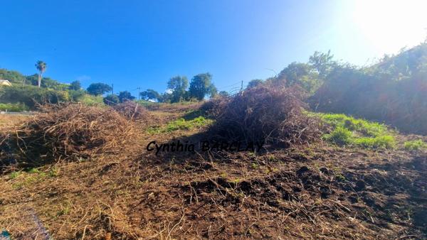 Terrain constructible à LE MARIN (97290)