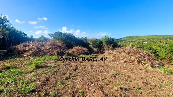 Terrain constructible à LE MARIN (97290)