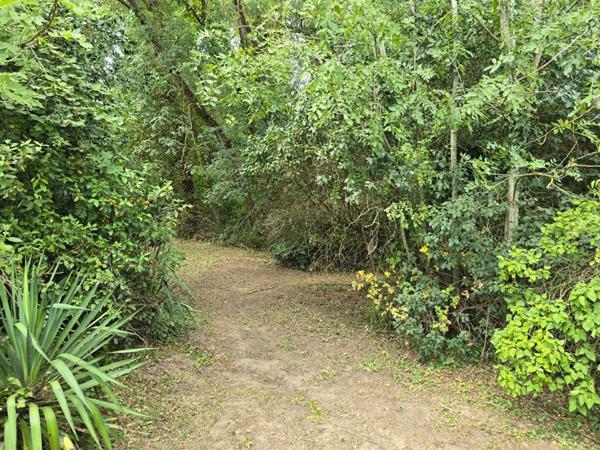 Terrain zone UR1 Palaiseau de 2090m² - gros potentiel