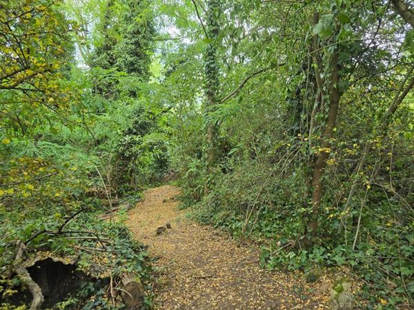 Terrain zone UR1 Palaiseau de 2090m² - gros potentiel