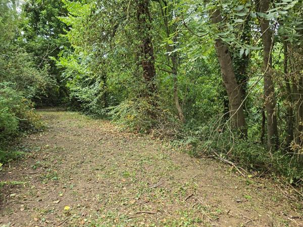 Terrain zone UR1 Palaiseau de 2090m² - gros potentiel