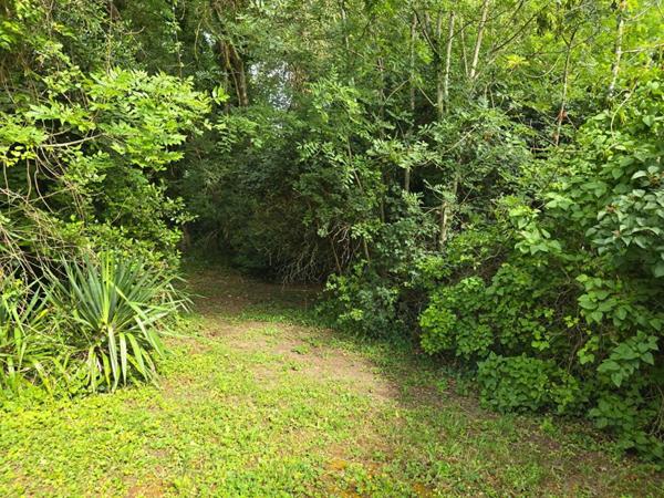 Terrain zone UR1 Palaiseau de 2090m² - gros potentiel