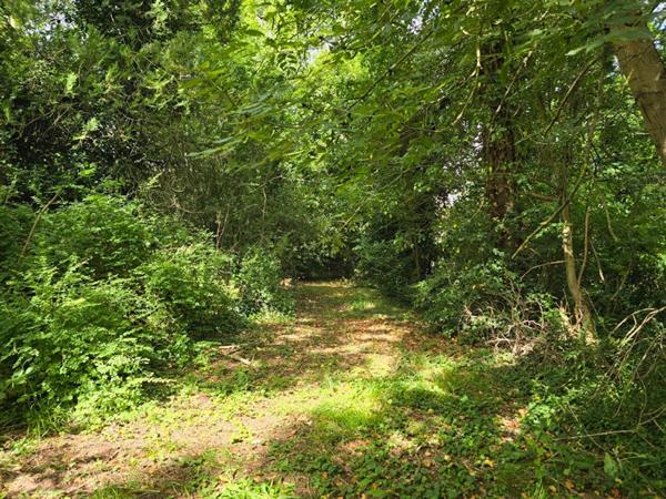 Terrain zone UR1 Palaiseau de 2090m² - gros potentiel