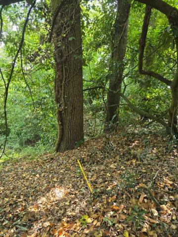 Terrain zone UR1 Palaiseau de 2090m² - gros potentiel