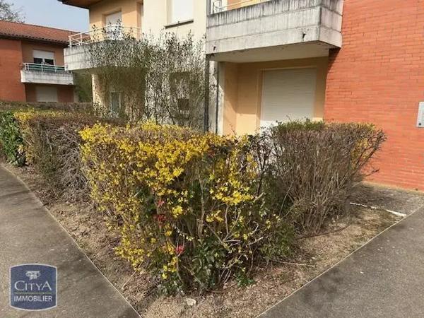 Appartement à louer 1 pièce 25.65m²