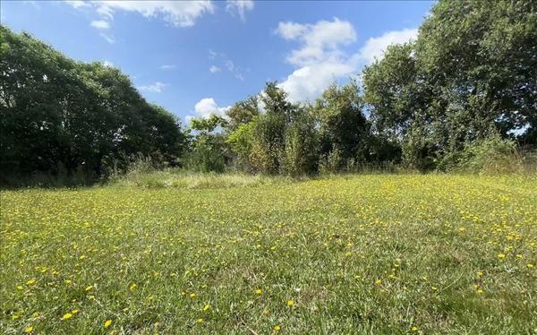 Terrain à vendre |  Saint-Nauphary |  661 m²