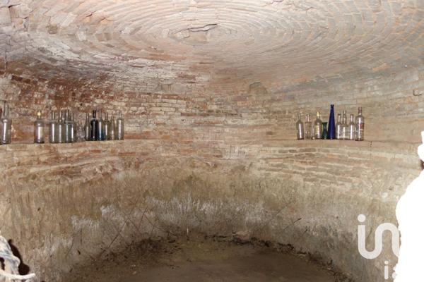 Moulin 11 pièces de 230 m² à Pont-du-Casse (47480)