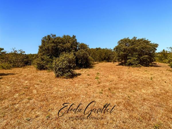 Terrain constructible Caunes Minervois 3070 m2