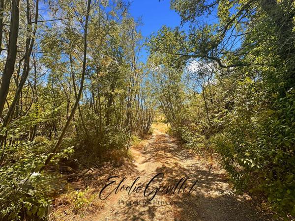 Terrain constructible Caunes Minervois 3070 m2