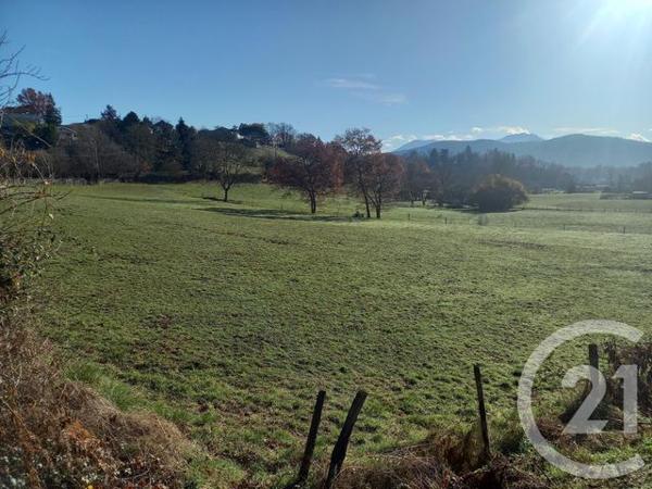 terrain à vendre 25845 m2 MONTREJEAU - 31