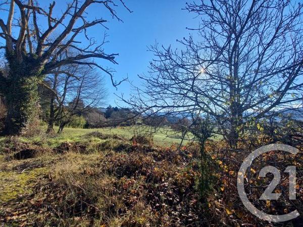 terrain à vendre 25845 m2 MONTREJEAU - 31