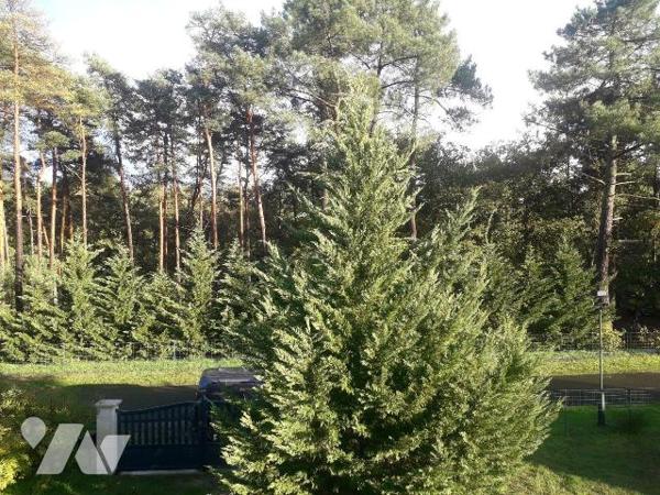 PAVILLON DE 254 M² HABITABLES, 7 MNS DE CONTRES, 20 MNS DE BLOIS
10 MNS DE ROMORANTIN
Pavillo...