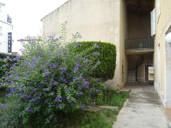 NARBONNE, Appartement MEUBLE 2 pièces - 31 m²