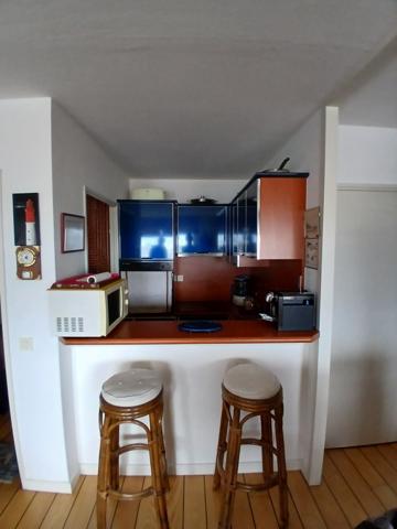 Arcachon (33120) APPARTEMENT VUE BASSIN