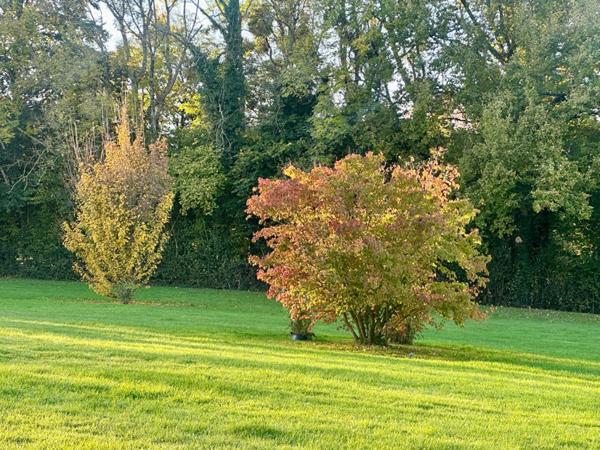 Maison BBC avec piscine intérieure, 220 m²