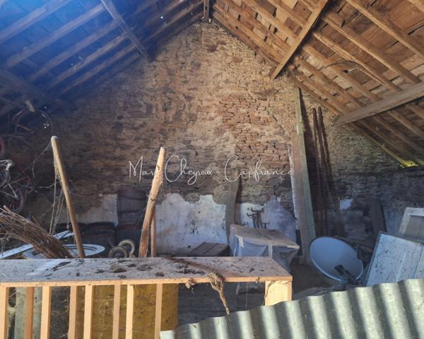 Grange + Maison entre campagne et ville - VENARSAL (19)