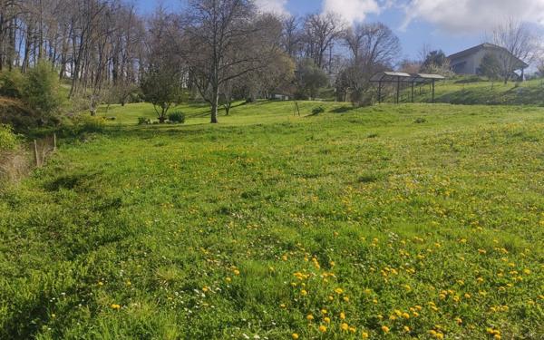 Terrain à vendre    Salies-de-Béarn