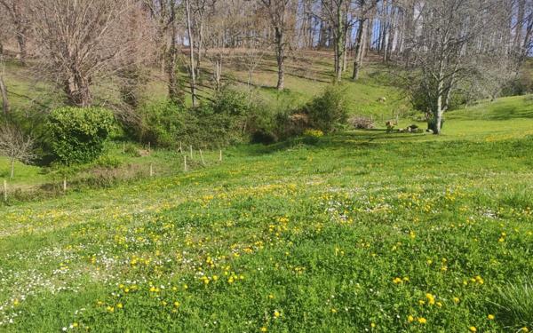 Terrain à vendre    Salies-de-Béarn