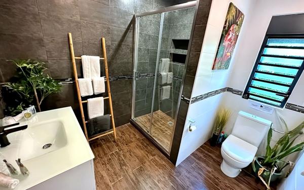 Maison à vendre    12 pièces •  Saint-François