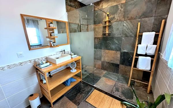 Maison à vendre    12 pièces •  Saint-François