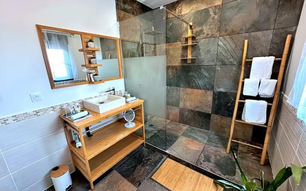 Maison à vendre    12 pièces •  Saint-François