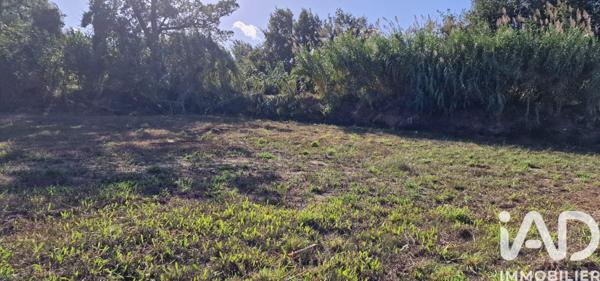 Terrain à vendre 1 022 m² Baho